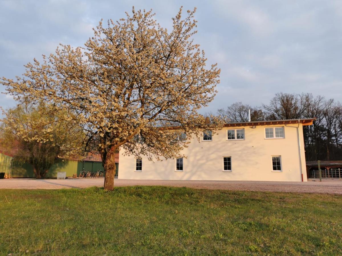 Ferienwohnung Gestuet Von Erden Hassloch  Exterior photo